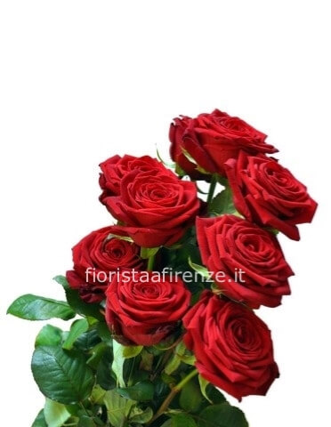 Rose rosse 50/60 cm da comporre in mazzo per numero di steli.