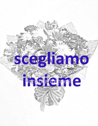 Omaggio da concordare a telefono al 3923730893