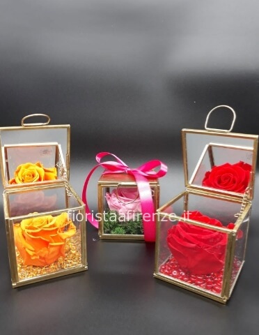 Rosa stabilizzata in bellissima box in vetro