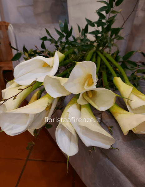 Mazzo di calle bianche